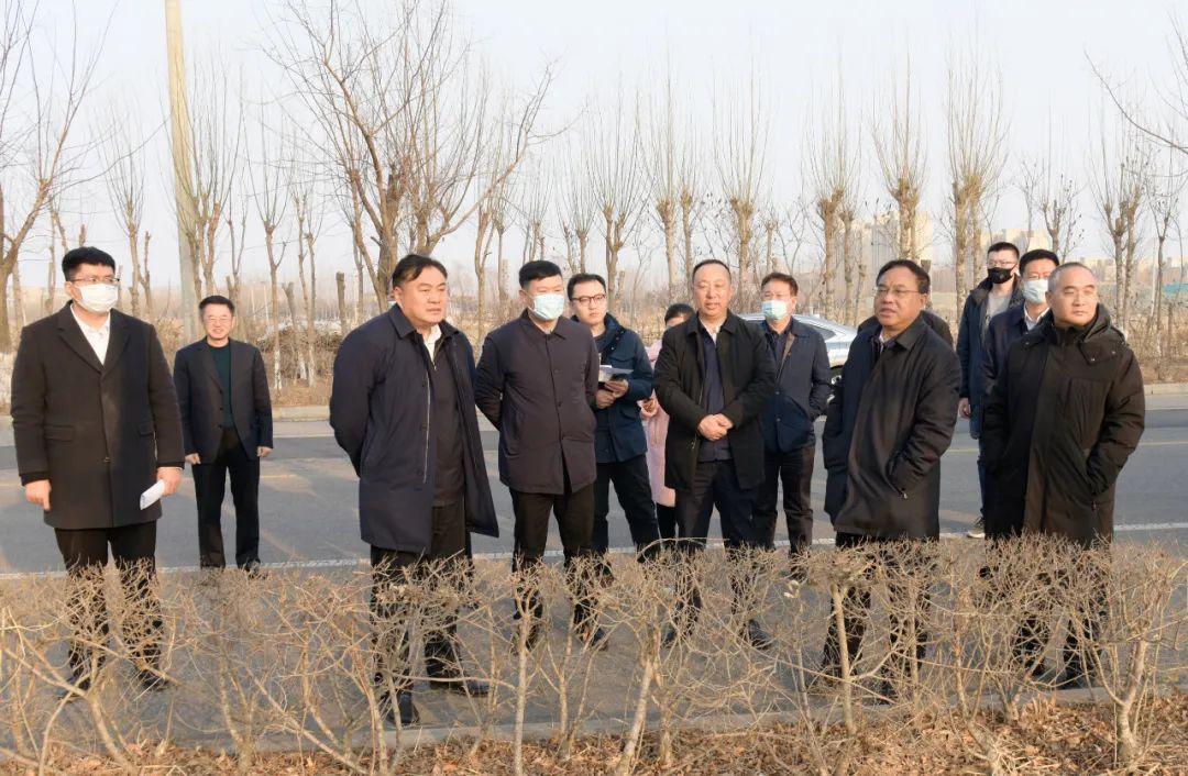 蓝月亮王中王的免费精选资料大全，解锁洗衣新境界的秘密武器