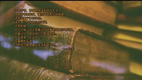 探索2046年澳门的历史足迹，一场穿越时空的记录查询之旅