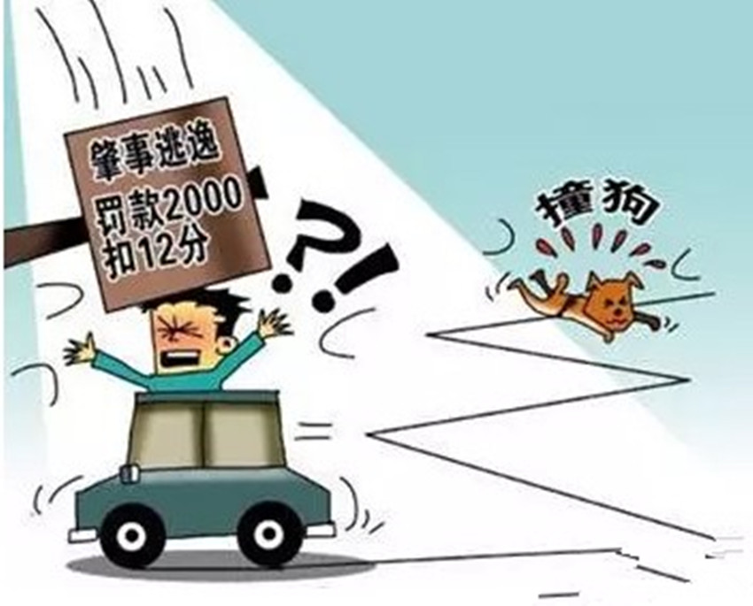 音乐情操 第17页