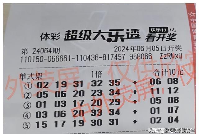 探索大乐透最新开奖历史，揭秘数字背后的奇妙之旅