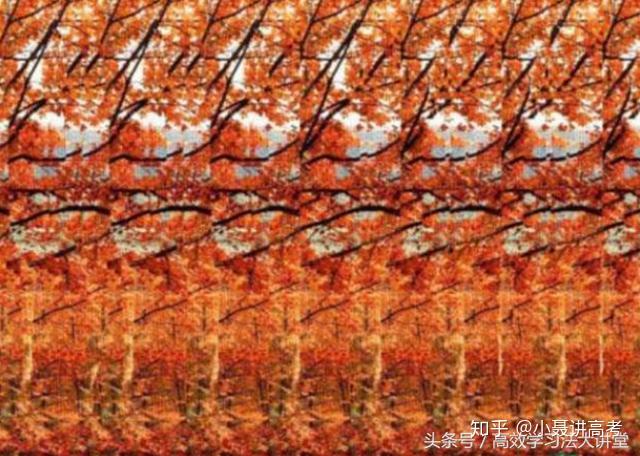 探索3D图谜与字迷的奇妙世界，一场视觉盛宴