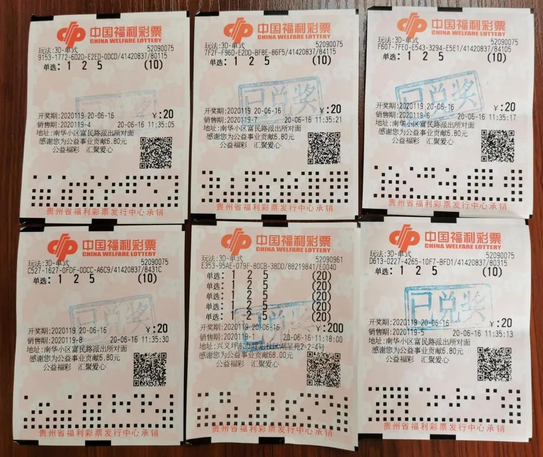探索三D开奖号码的奥秘，数字背后的趣味与科学
