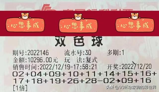 揭秘双色球开奖结果，一场数字与运气的奇妙碰撞
