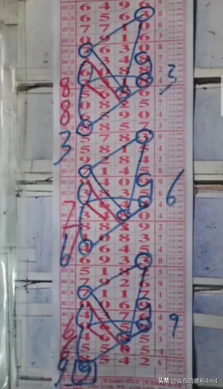 排五走势图综合图的深度解析，专业版解读与策略应用