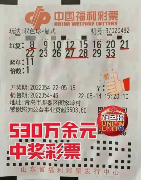 探索体彩7星彩票的魅力与奥秘