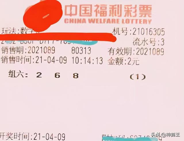 今日3D开奖结果揭晓，探索数字背后的幸运与期待