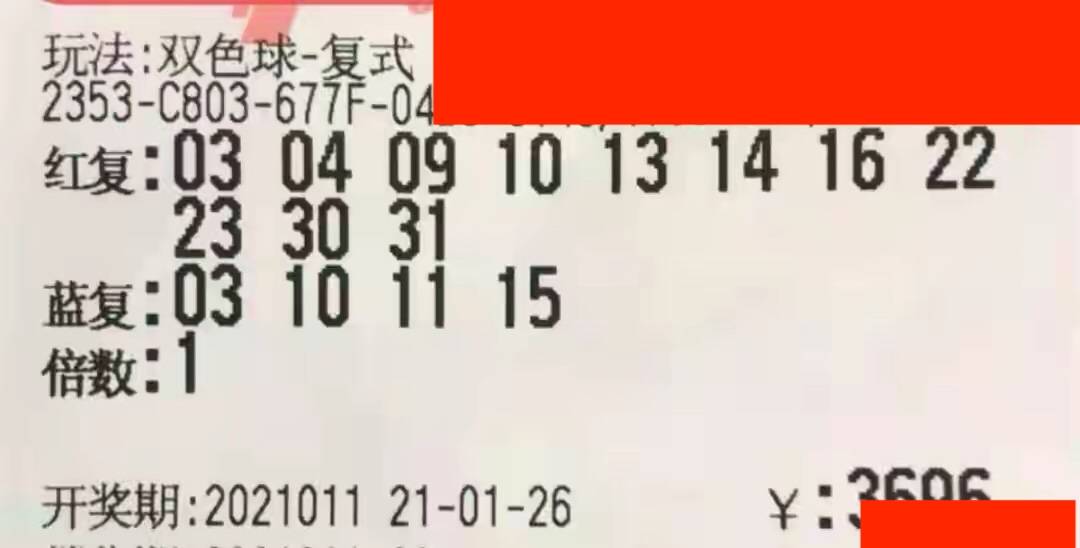 2019年第4期双色球开奖结果，幸运的数字与梦想成真的瞬间