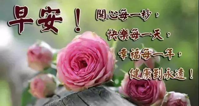 探索开机号近十期的奥秘，解码彩票数字背后的秘密