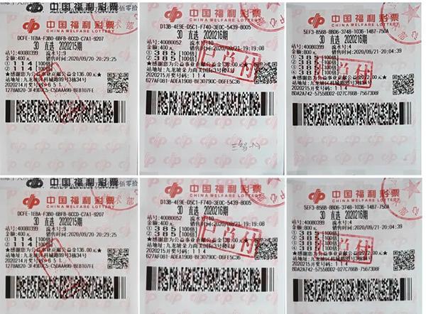 福彩3D，揭秘开奖结果与号码背后的故事