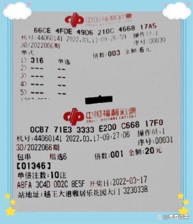 试机号3D，数字游戏中的神秘开端