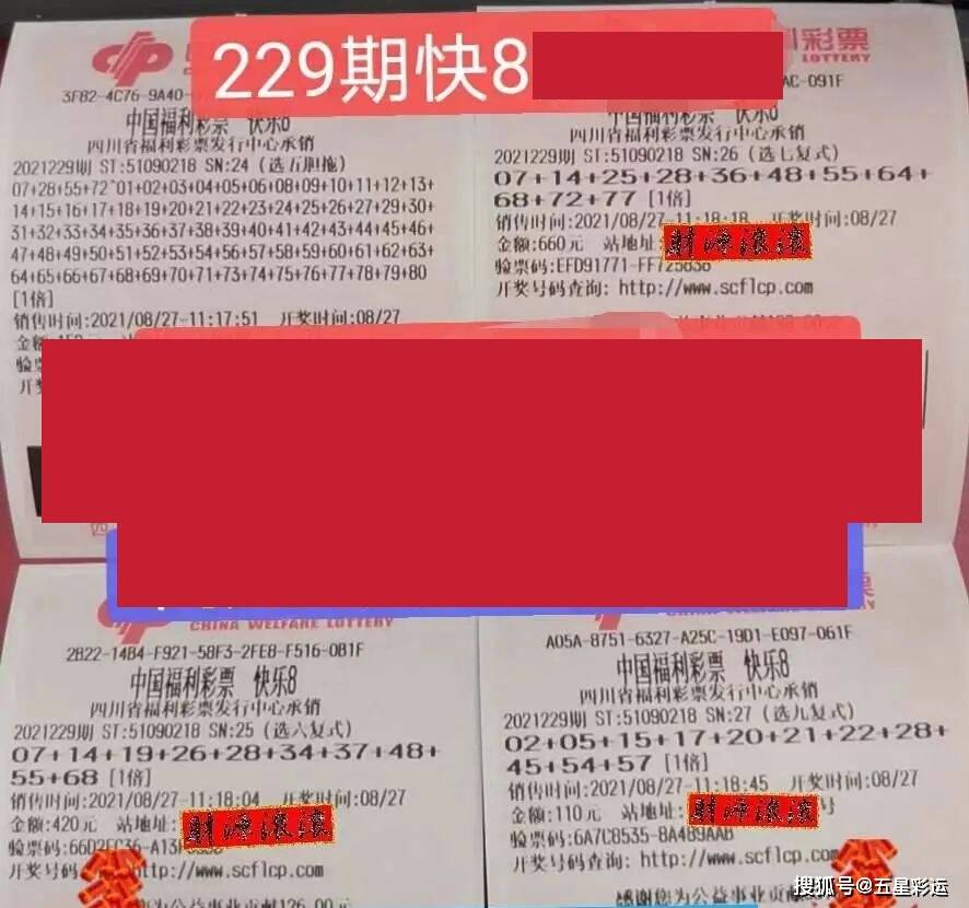 探秘体彩31选7，揭晓开奖结果背后的故事与乐趣