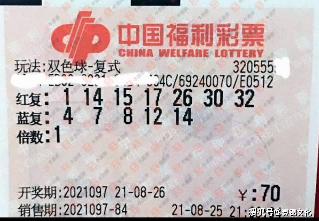 2019年双色球第6期，梦想与幸运的碰撞—揭秘开奖结果