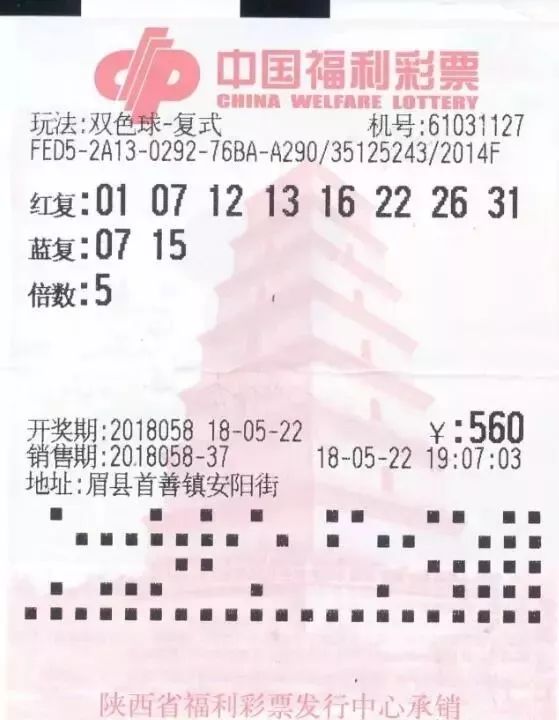 2019年双色球第4期开奖揭晓，幸运数字照亮梦想