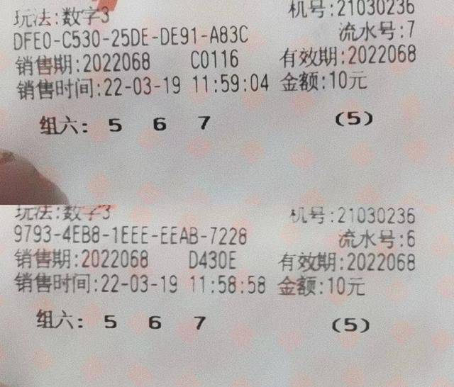 2025年6月 第162页