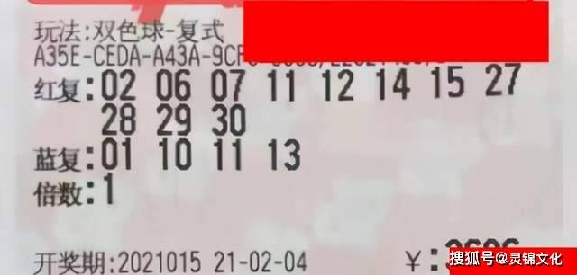 203年双数第5期
