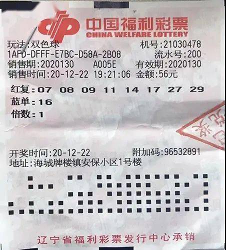 探索体坛网双色球走势图，揭秘彩票背后的数字奥秘