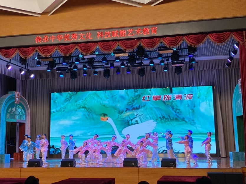 色彩的交响，探索双色的艺术与科学