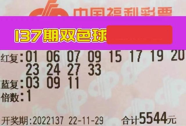 探索双色球，一场数字与梦想的奇妙之旅