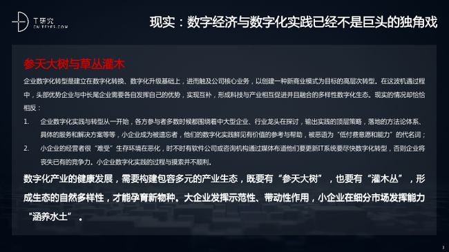 探索对望码的奥秘—数字时代的编码新篇章