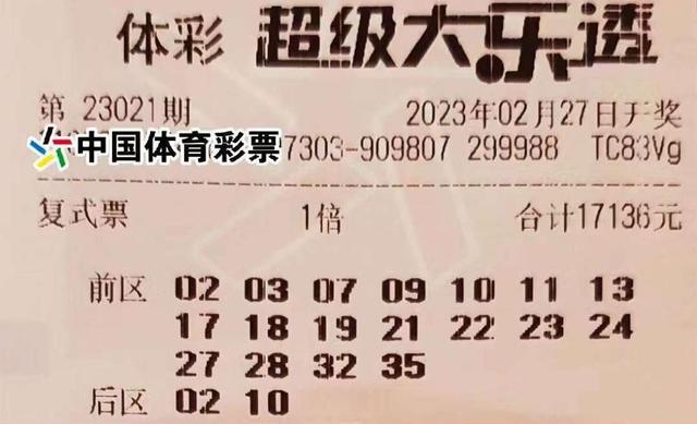 揭秘Dalt大乐透最新开奖结果，幸运数字背后的故事与策略