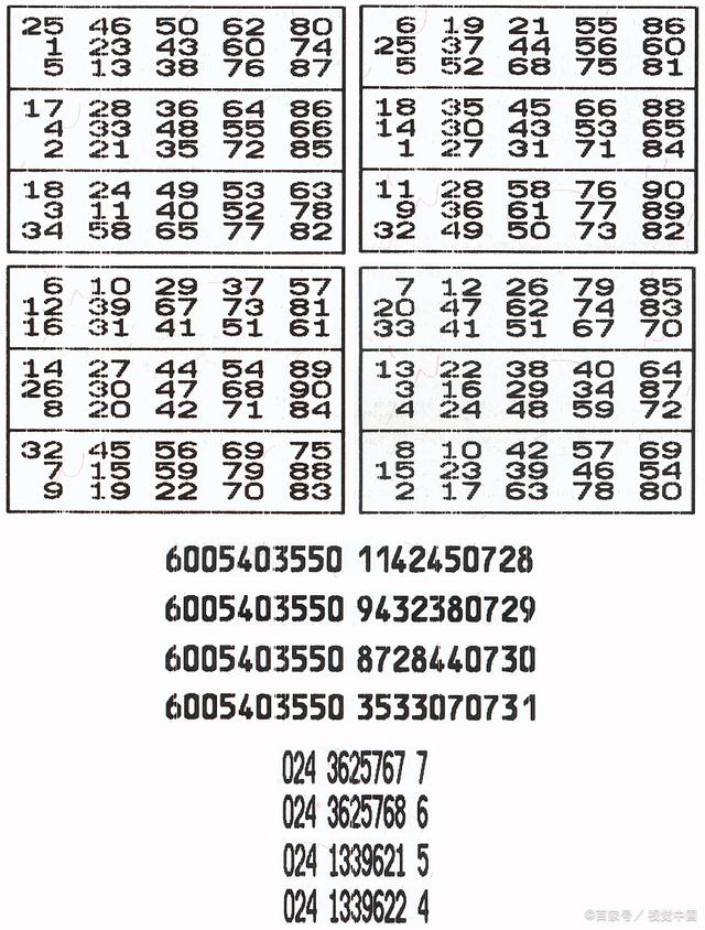 福彩3D字谜总汇，揭秘数字背后的智慧与乐趣