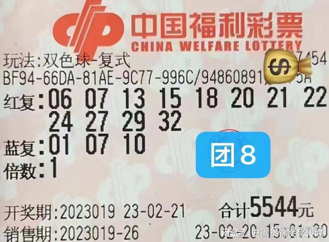 2013年双色球第4期开奖揭晓，梦想与幸运的碰撞