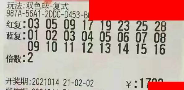 2013年双色球第4期，梦想与幸运的碰撞—揭秘开奖结果