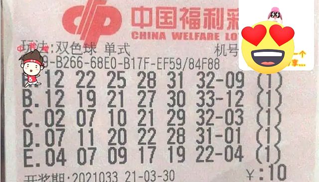 2013年双色球第4期开奖揭晓，梦想与幸运的碰撞